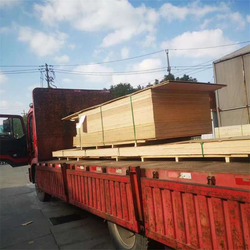 内蒙古乌海乌达至塔城货运专线，一站式物流服务助您成功